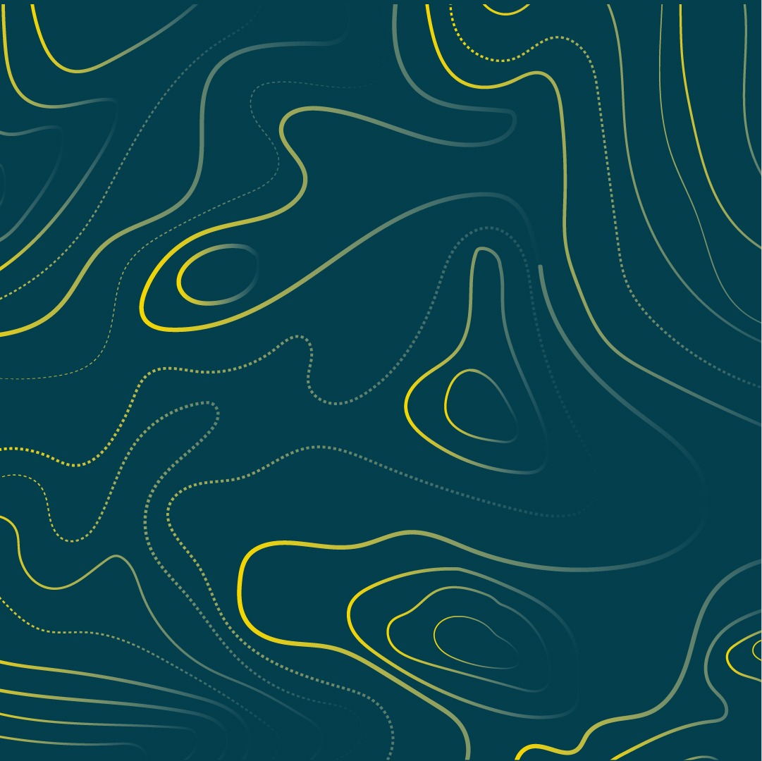 graphisme onde - identité visuelle - graphisme